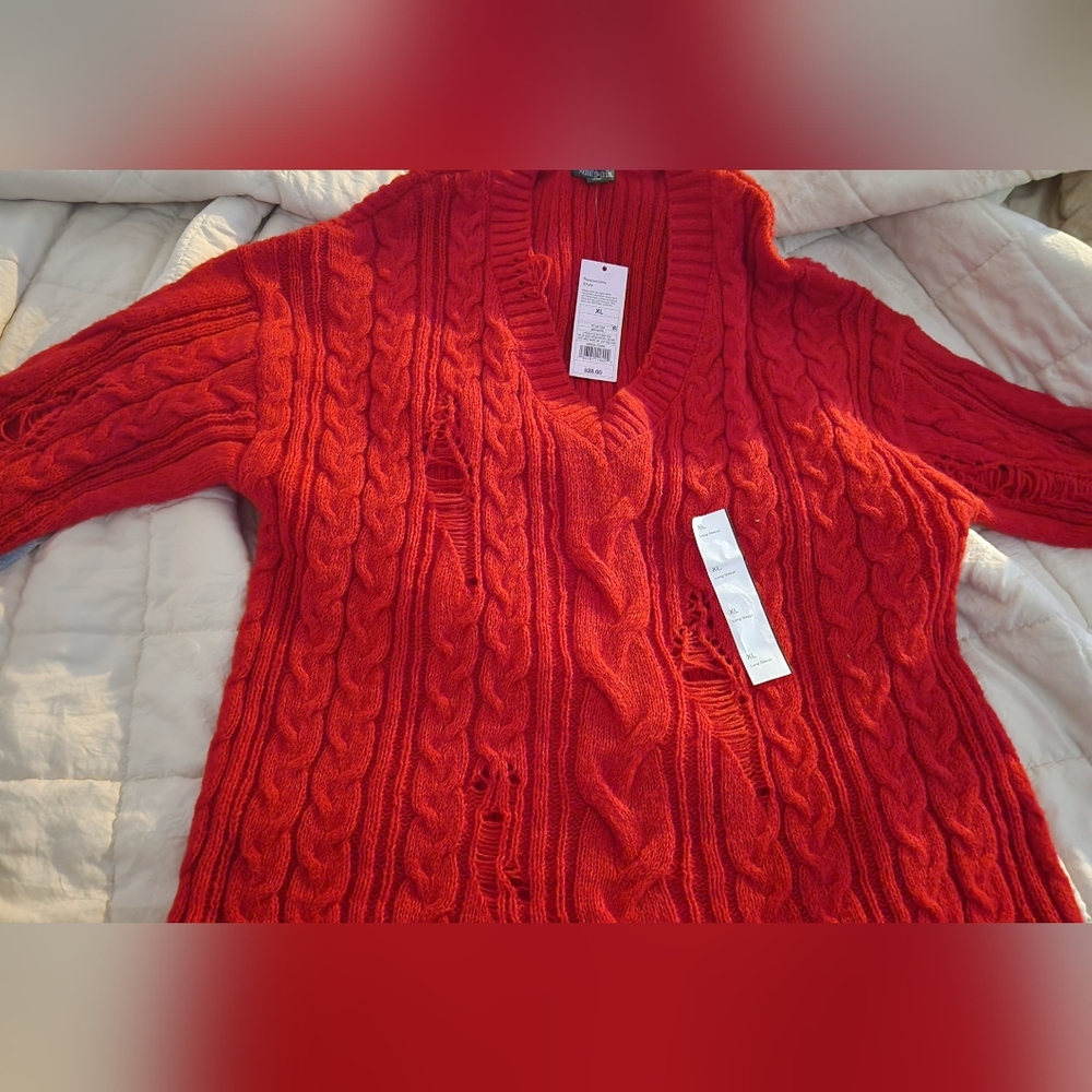 NWT Wild FABLE DISTRESSED SWEATER